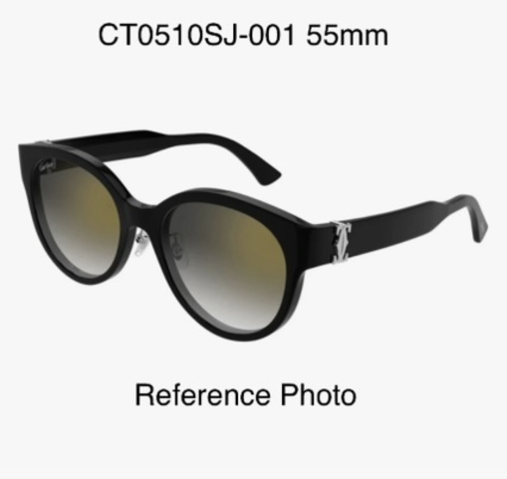 Cartier CT0510SJ-001 Sunglasses Replacement Lenses Gray Gradient Zeiss AR 55mm